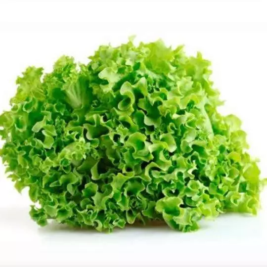 Lechuga Crespa Verde x500gr