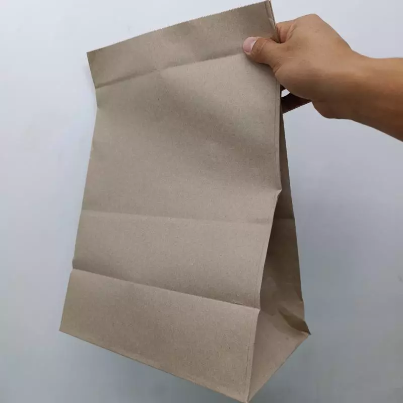 Bolsa Kraft Delivery 10 Kilos