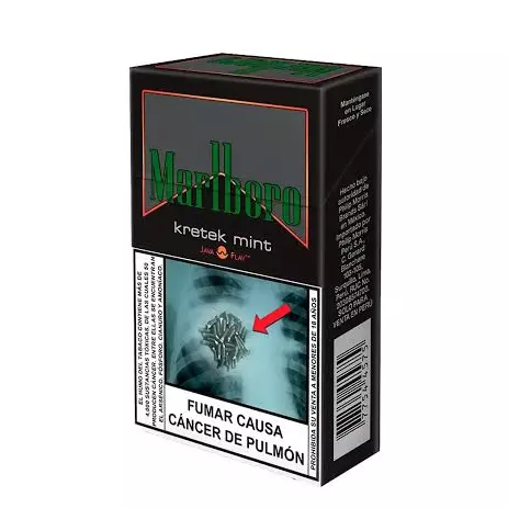 MARLBORO CANELA X 20