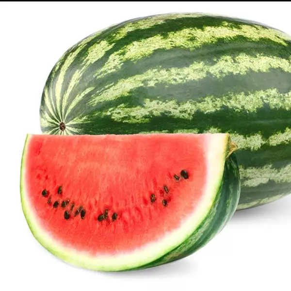 Sandia Baby  x 1 und