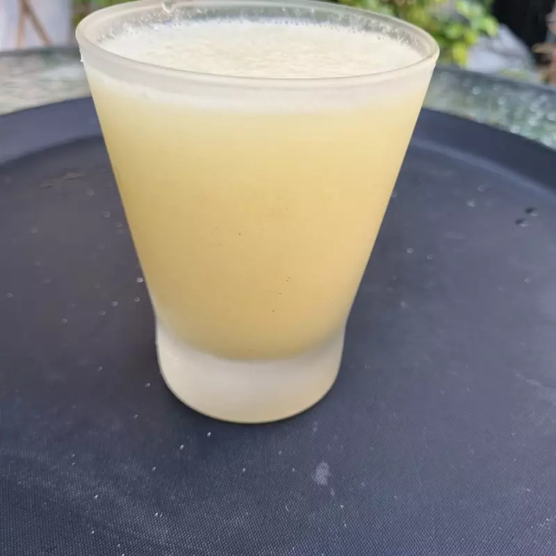 Pisco perauno tamaño catedral