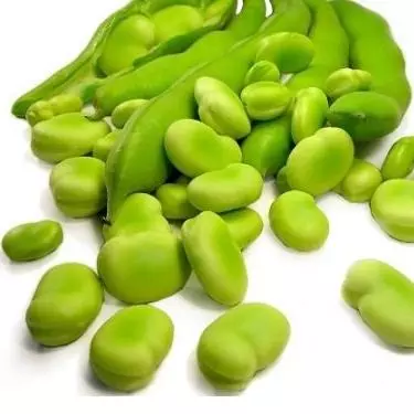 Haba Verde desgranada und