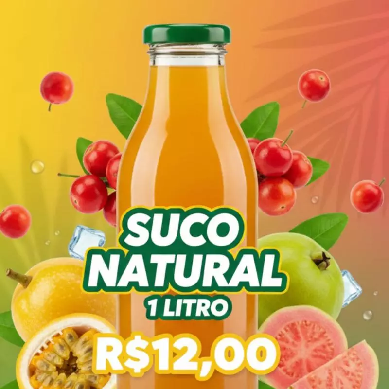 SUCO 1 LITRO