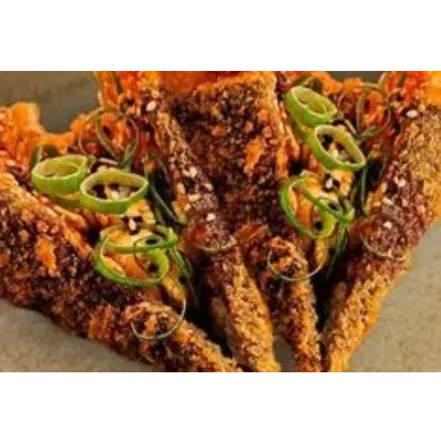 Dupla de temaki hot (frito)