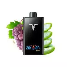 V300 U.SLIM Black Aloe Grape Ice