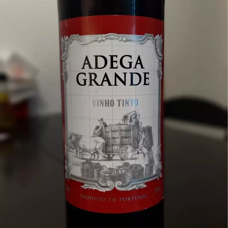 Garrafa Vinho Adega Grande Mesa Tint