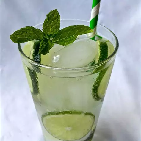 Mojito Natural 1LT