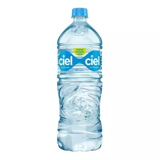 AGUA NATURAL 1.2 lt
