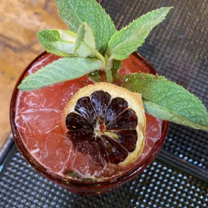 GIN LAWEN MOJITO GIN SABORES