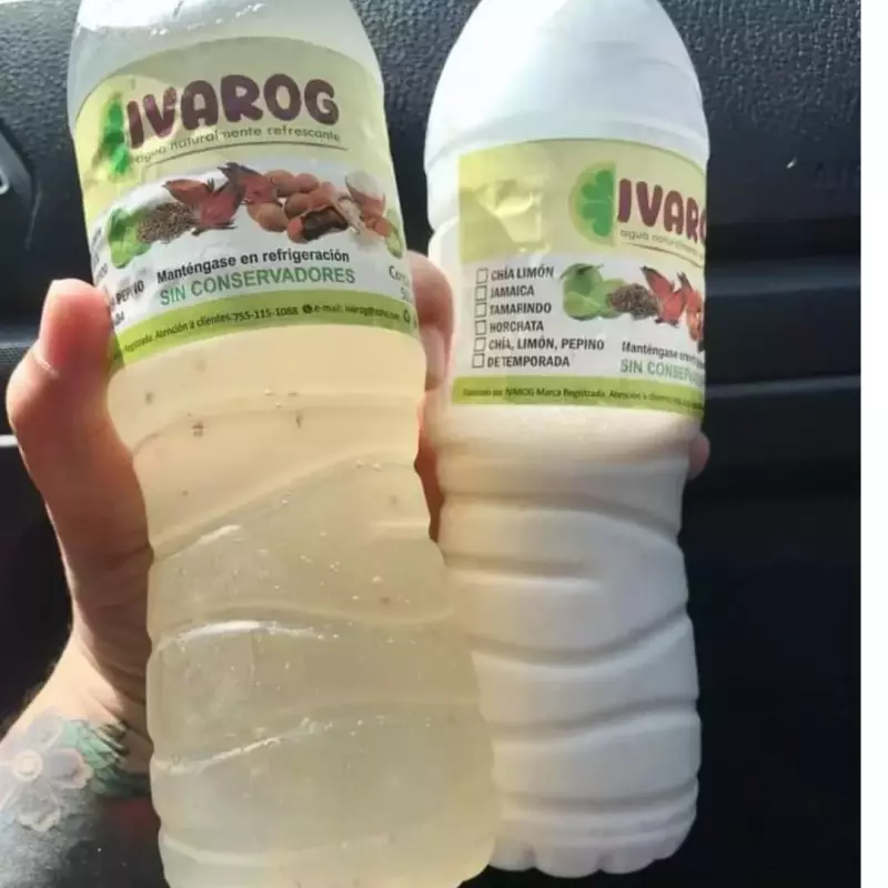 AGUA DE HORCHATA 500 ML