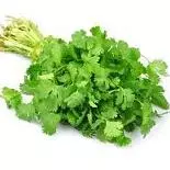 Cilantro 250 grs