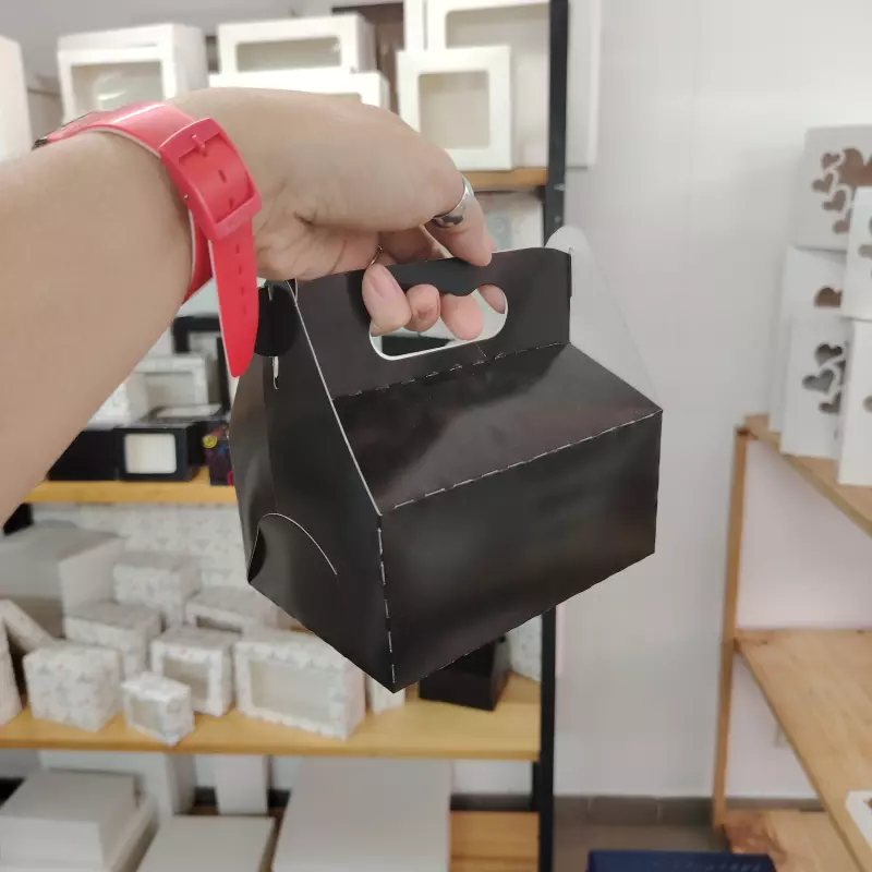 Lonchera Mediana Negra