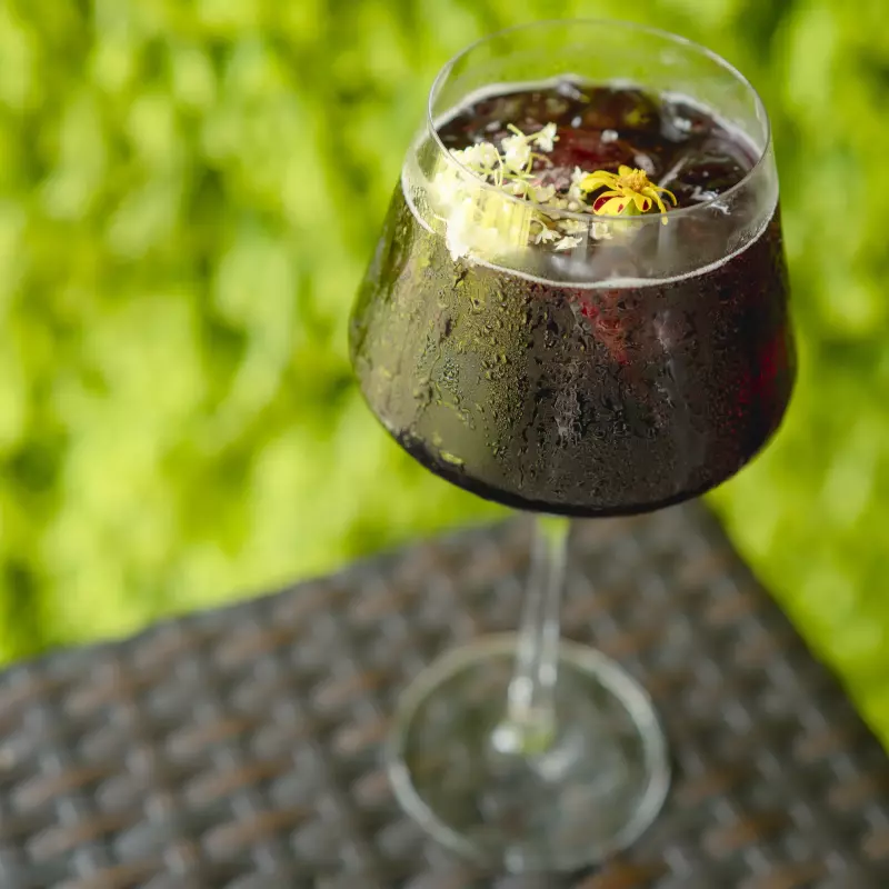 Tinto Maracucho