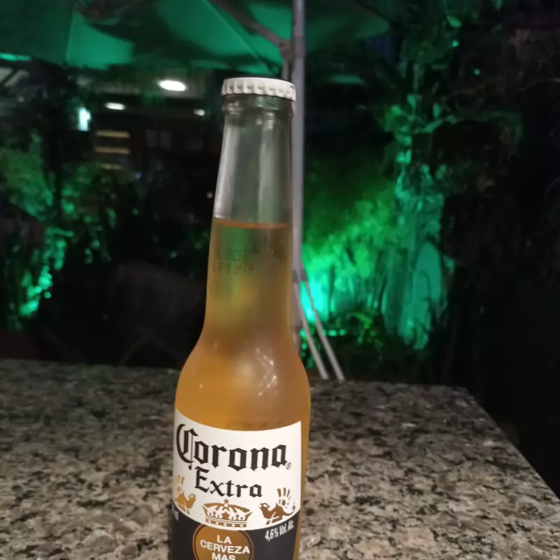 704 -Long Neck Corona