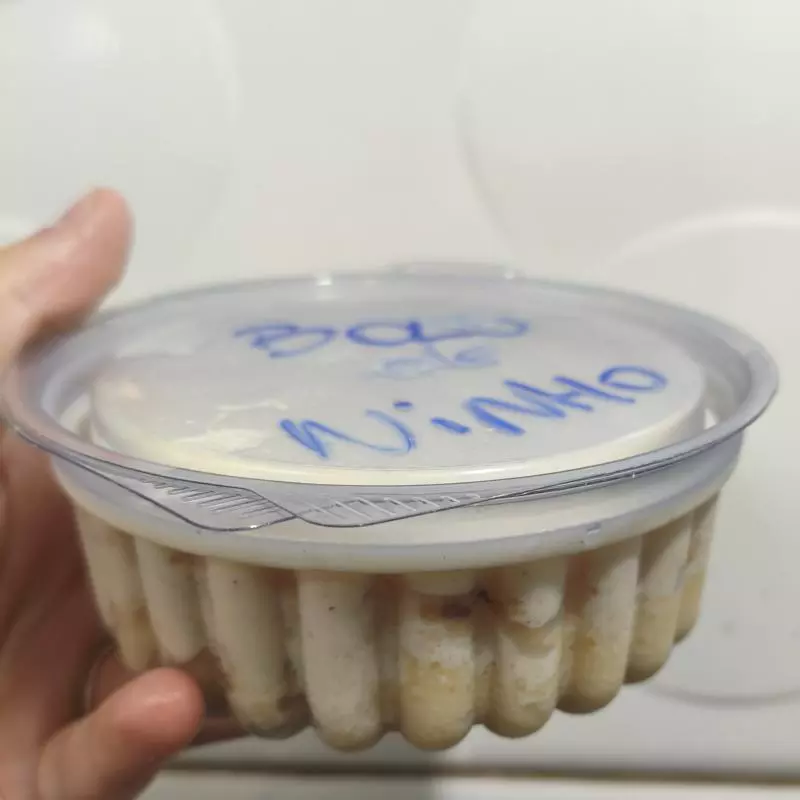 bolo de pote leite ninho
