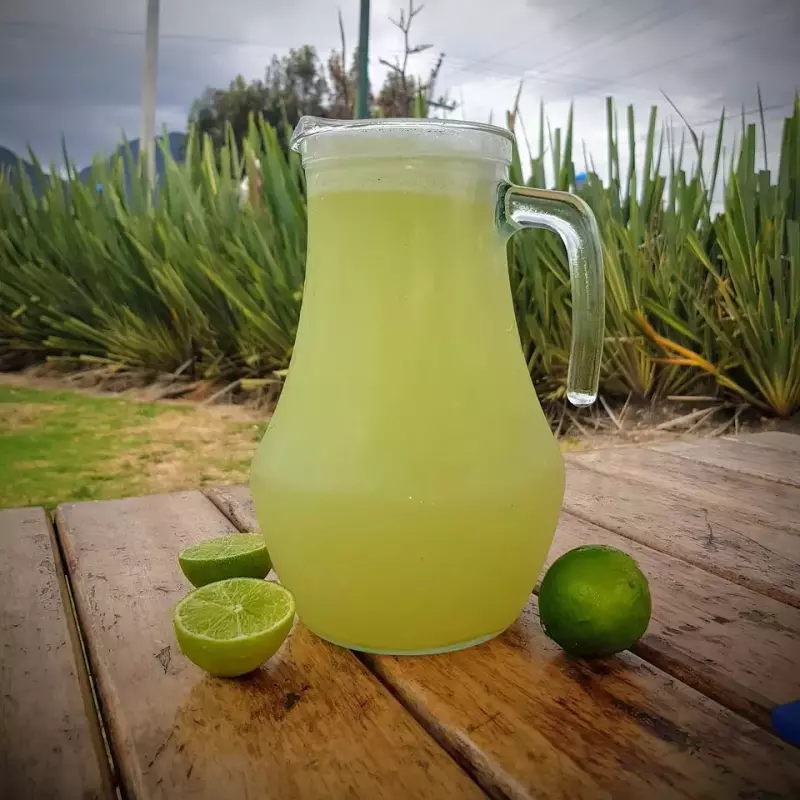 Jarra de limonada Natural