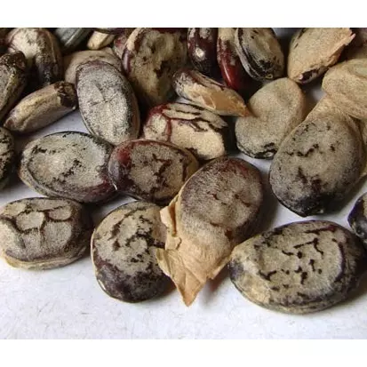 Emburana Semente 100g