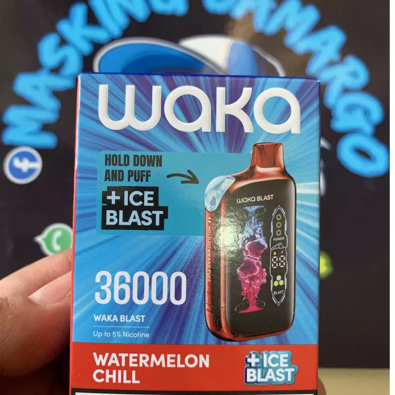 Watermelon Chill 🍉