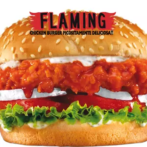 HAMBURGUESA FLAMING
