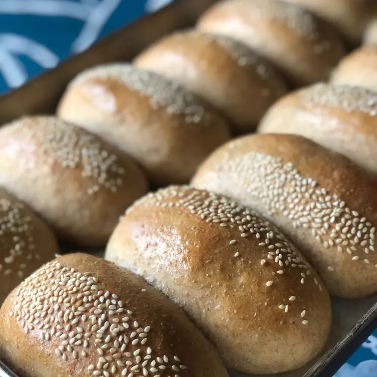 Pan panini masa madre