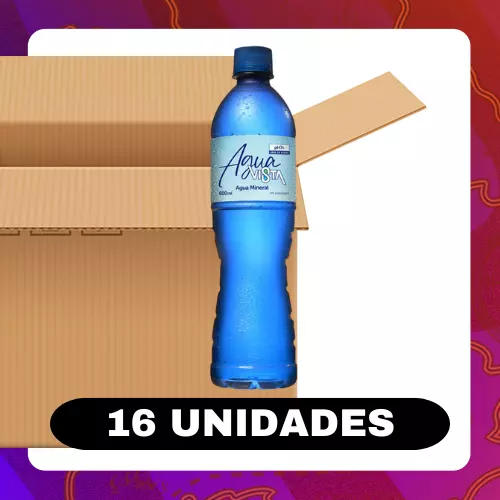 Bulto Vista Agua 600ml