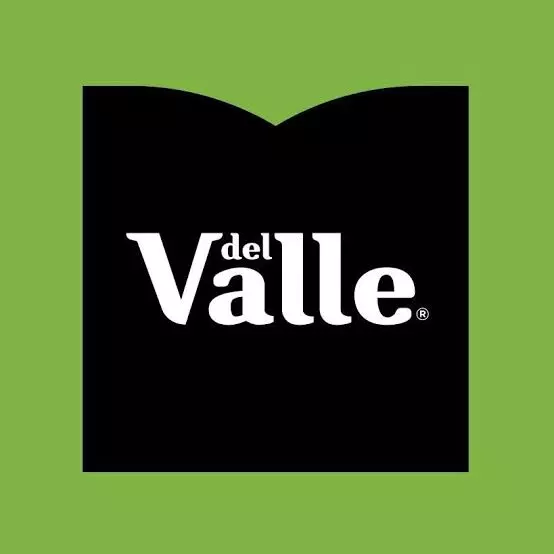 SUCO DEL VALLE caixinha