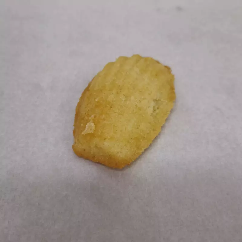 C21费南雪 magdalena