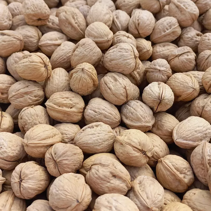 Nuez Con Cáscara