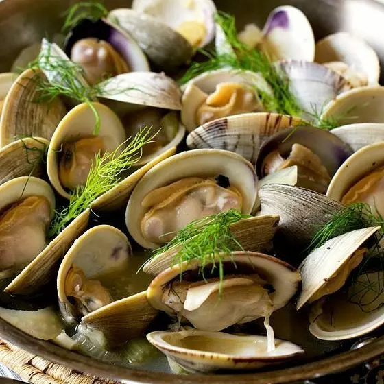 LAMBRETA DÚZIA