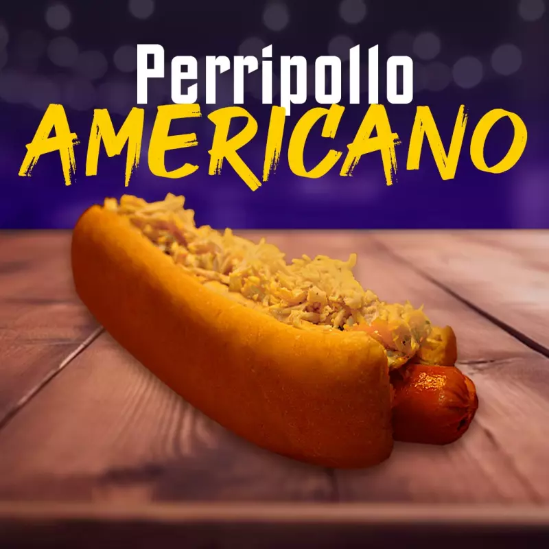 Perripollo Americano