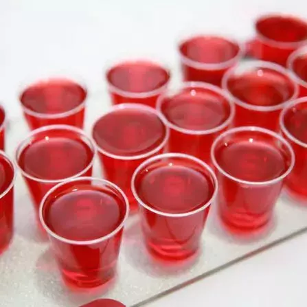 GELATINA DE  ARANDANO