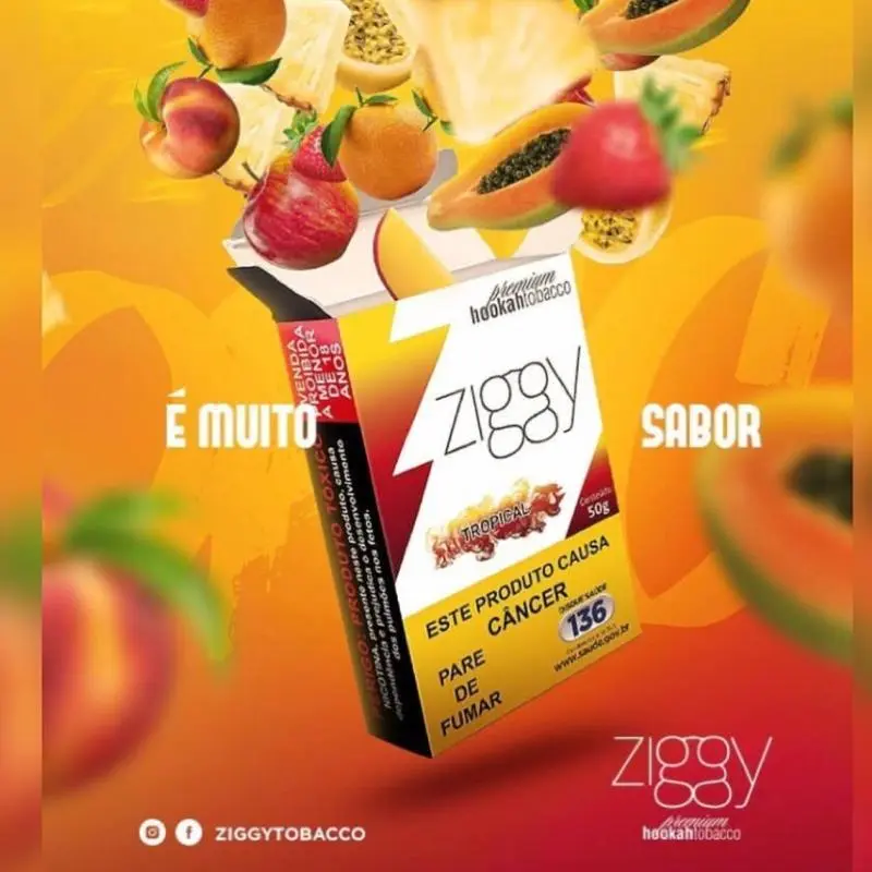 Zgy Tropical