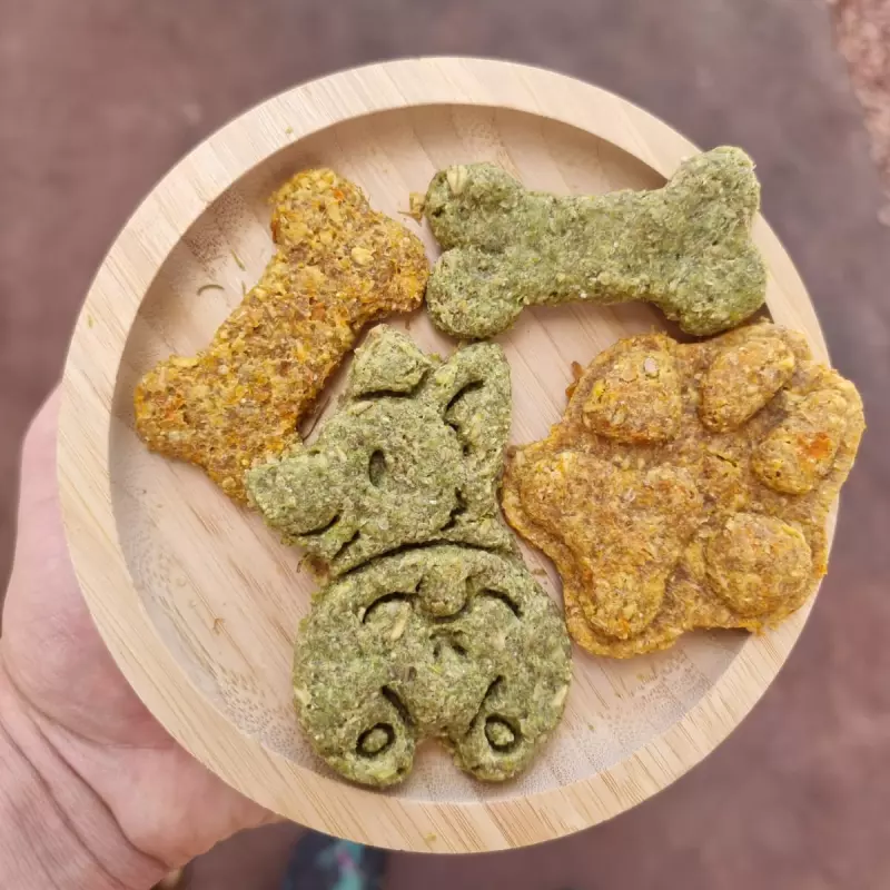 🐶MENU DE HIJOS PELUDOS🐶