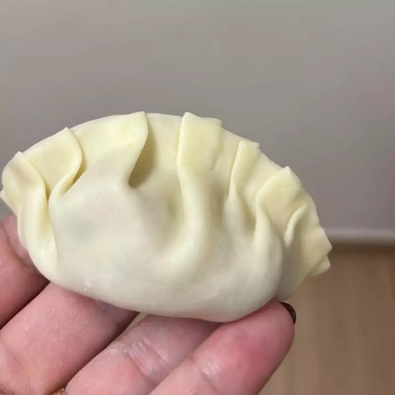 Bandeja Guioza Japonês