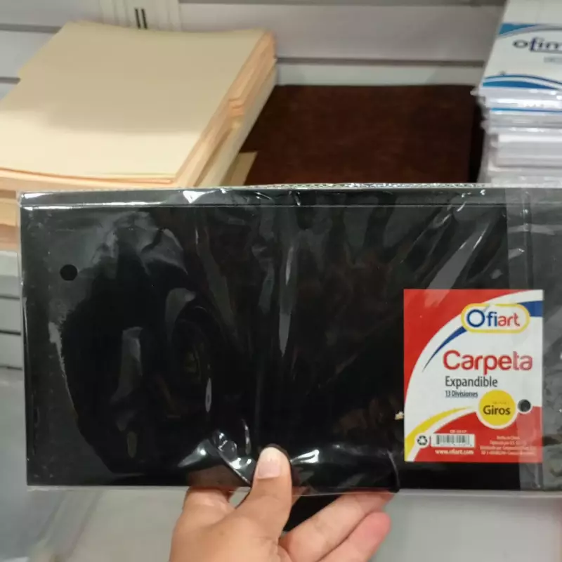 Carpeta expandible ofiart