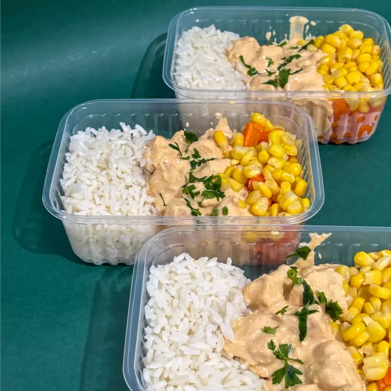 Strogonoff de frango FIT