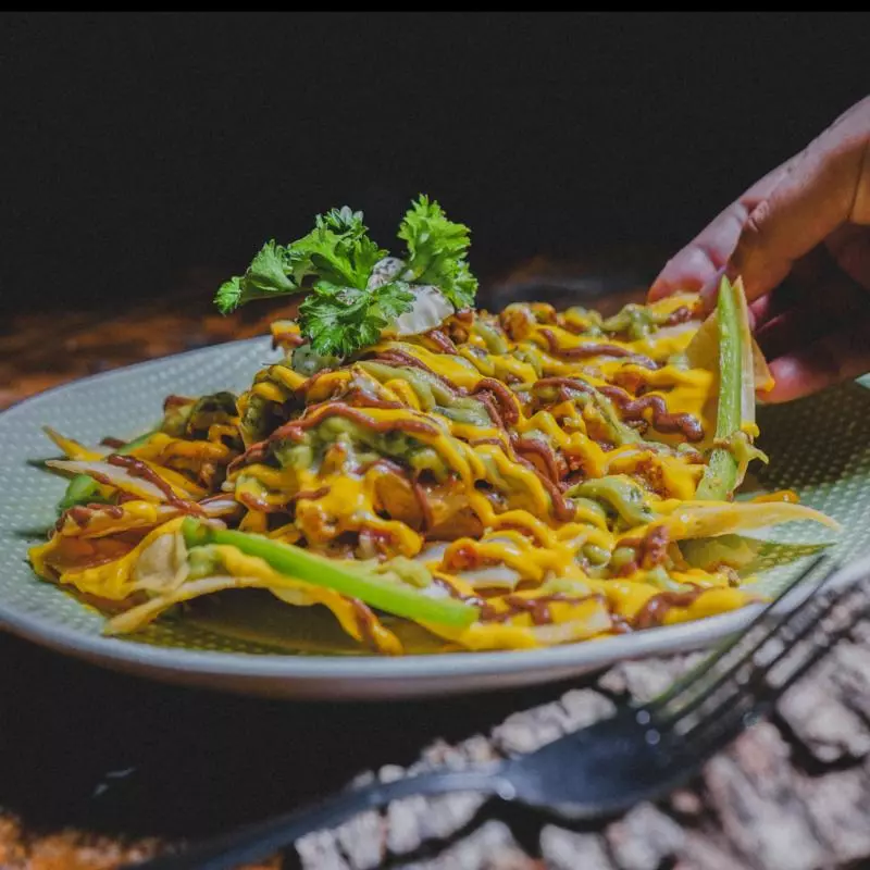 Nacho de pollo