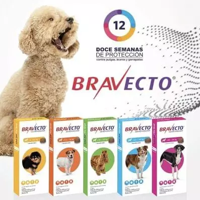 Bravecto ®️ 33 USD