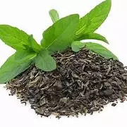 Chá Verde Broto 100g