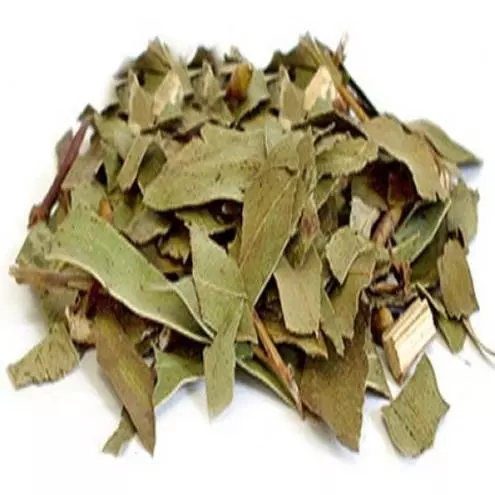 Eucalipto 100gr