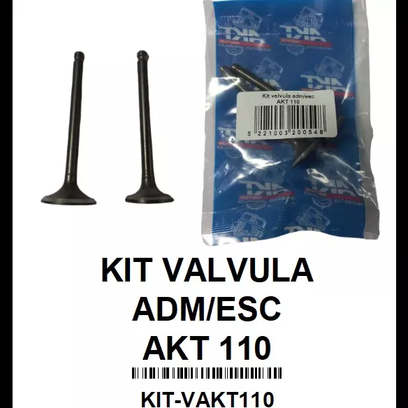 KIT VALVULA ADM/ESC AKT 110 TO