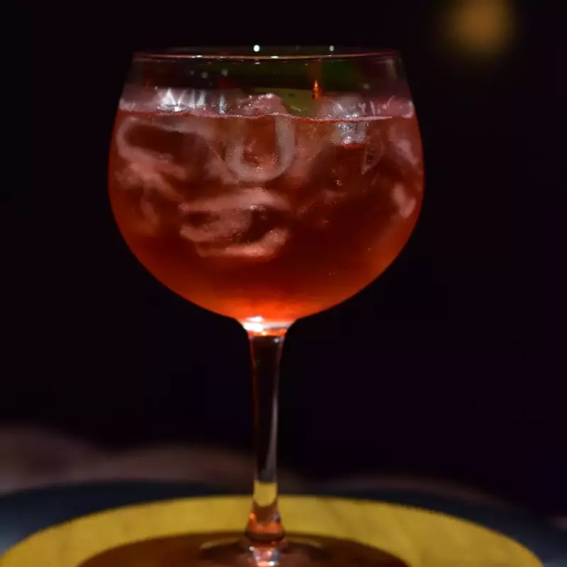 Campari Tonic