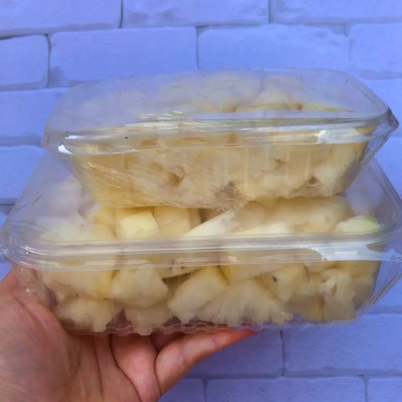 Abacaxi TAM G