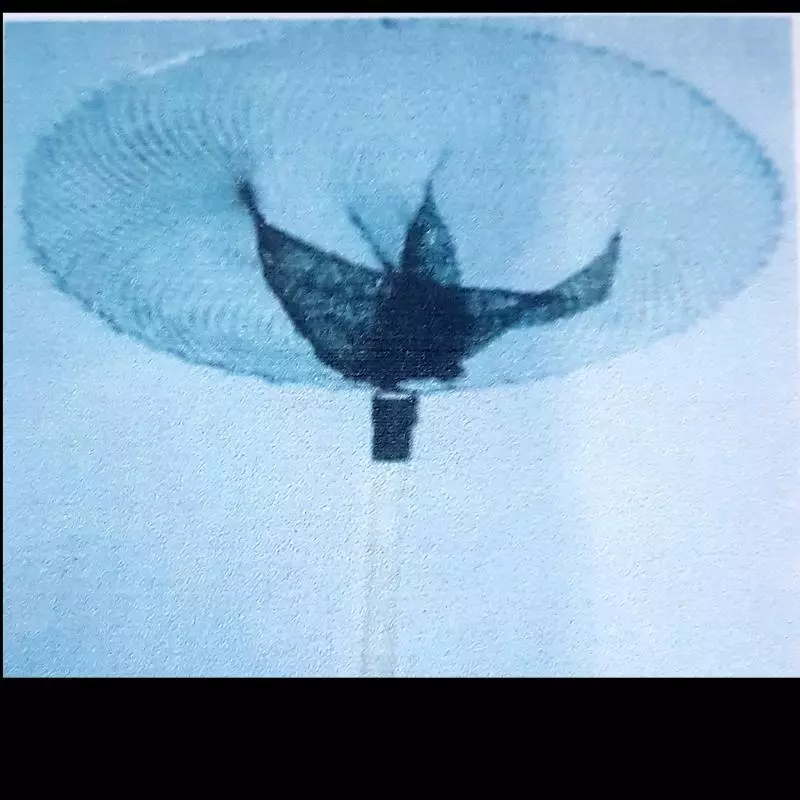 Puça de mão c/ cabo de Madeira