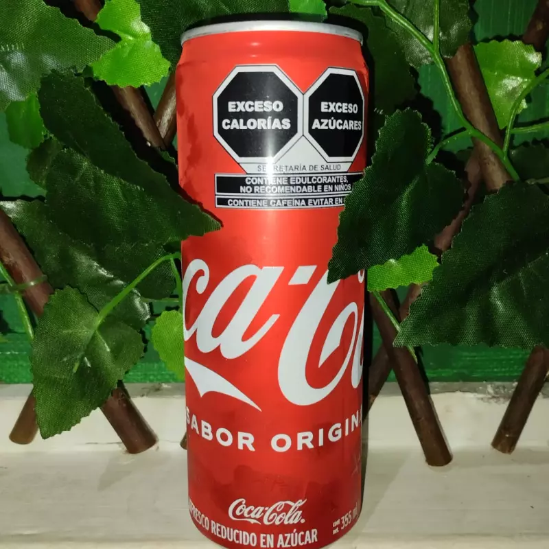 Coca Cola Lata 355 ml.