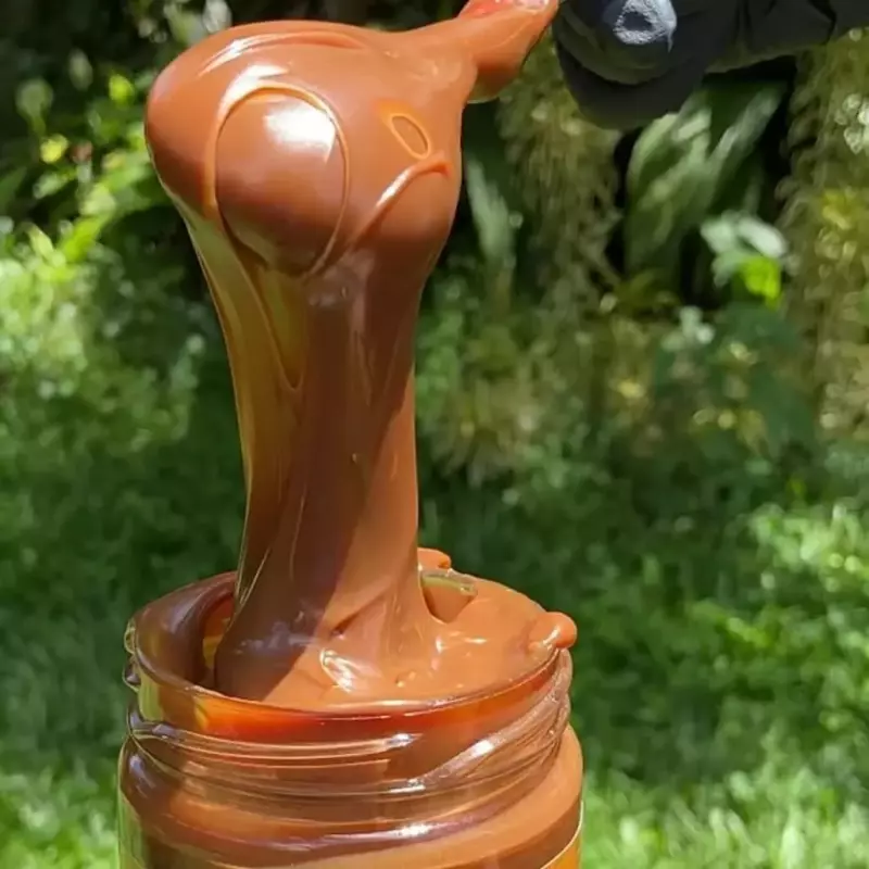 DOCE DE LEITE DE BUFALA
