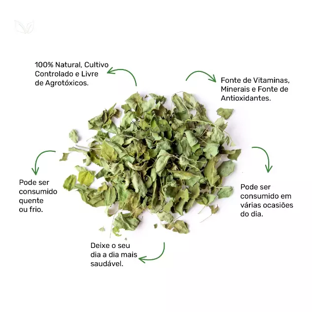 Moringa Chá - 10g