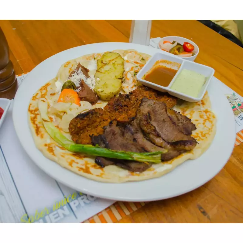 TORTILLA DE HARINA CON CARNE