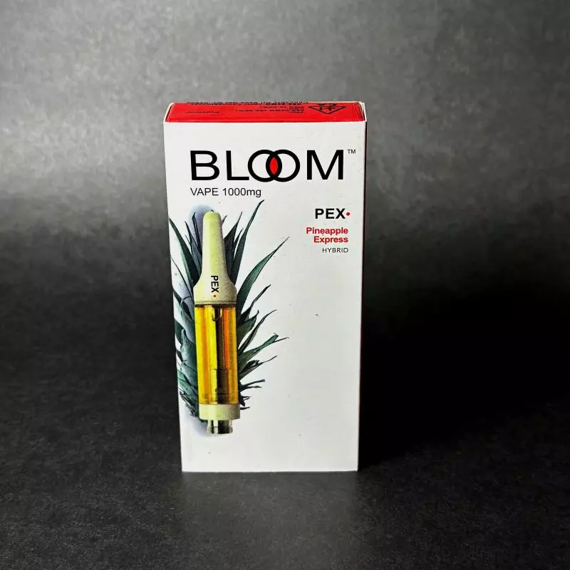 Bloom - Pineapple HIBRIDO💚
