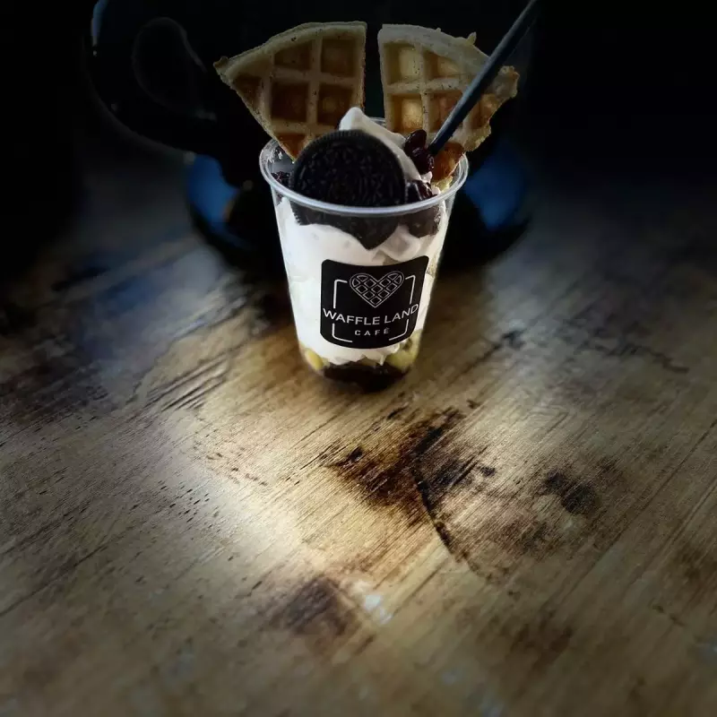 Ley De Acción Y Reaccion